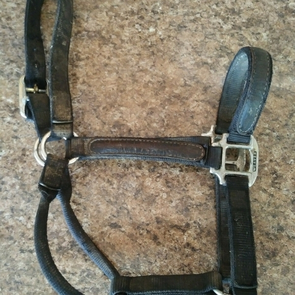 Other - Weaver leather halter